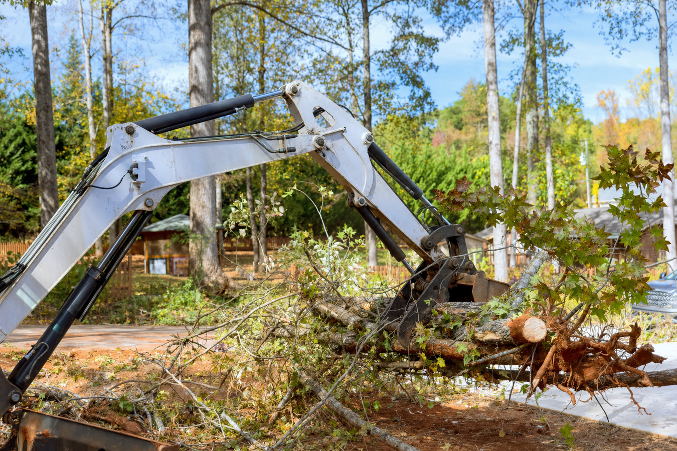 Land clearing in Alameda, CA