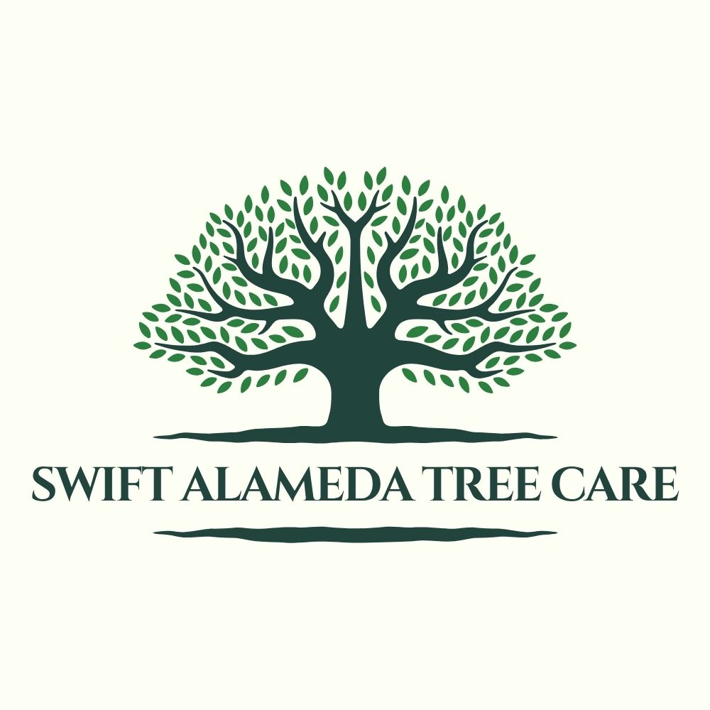 Swift Alameda Tree Care
